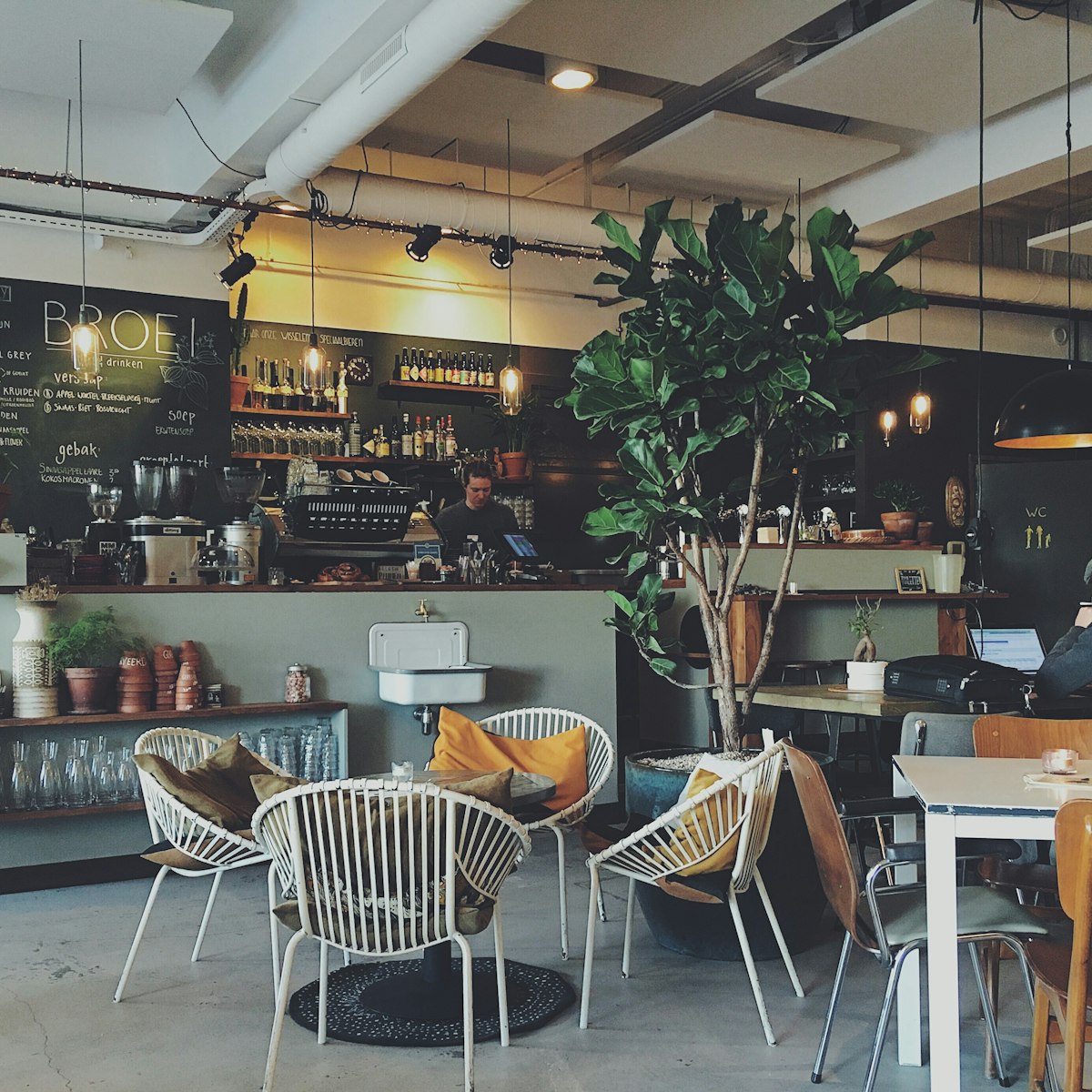 Sunlit café room with plants, wooden tables and a coffee bar